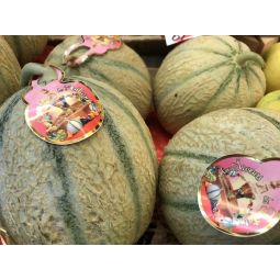 Melon charentais 1 kg bio  1pc