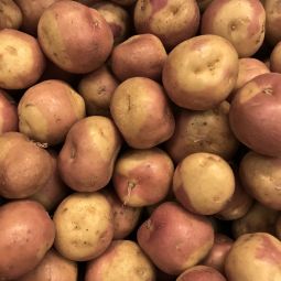 Pommes de terre Miss Blush 500g