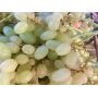 Raisins blancs sans pépins 500g