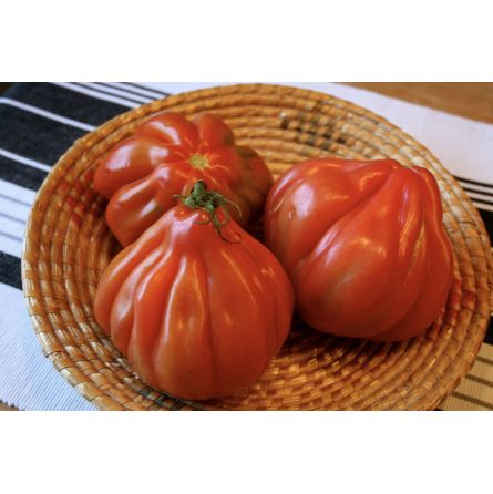 Tomates Coeur de boeuf noir 500g