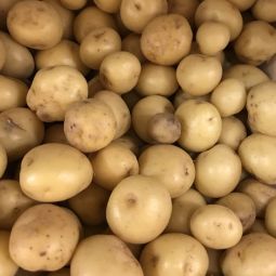 Pommes de terre Sirtema Noirmoutier 500g
