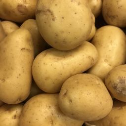 Pommes de terre Charlotte BIO 500g