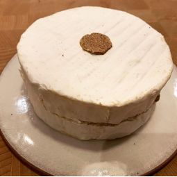 Brillat Savarin Truffé maison (250g)