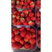 Fraises petits calibre 500g  1pc