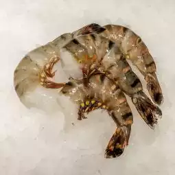 Scampis Non décortiqués à la pièce