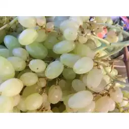 Raisins blancs sans pépins 500g