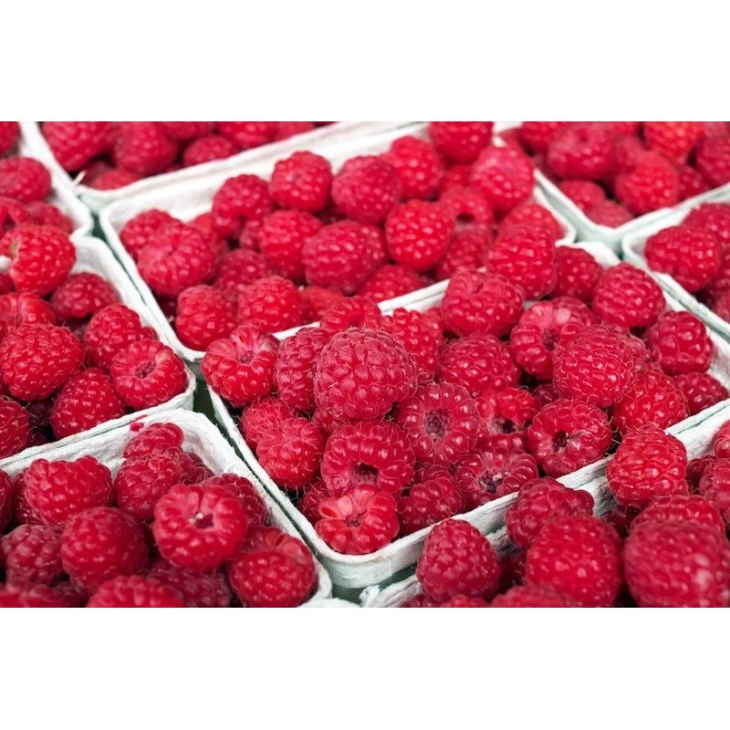 Framboises Ravier 130g bio  1pc