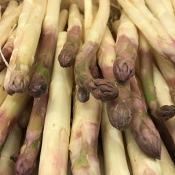 Asperges blanches à pointe violette BIO 300g
