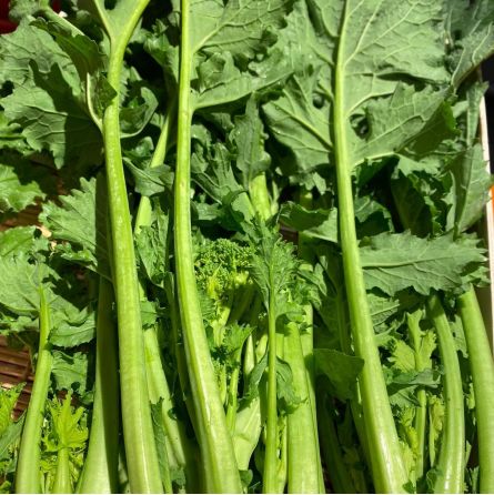 Brocoli-rave (Cime Di Rapa) - 1pc ±500g