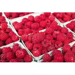 Framboises Ravier 130g bio  1pc