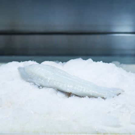 Filets de Barbue 300g, sans peau Filets de Barbue 300g, sans peau