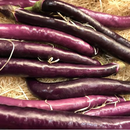Aubergines Longues de Chine - 1pc ±200g Aubergines Longues de Chine - 1pc ±200g