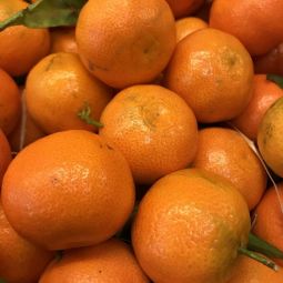Clementines BIO 1kg