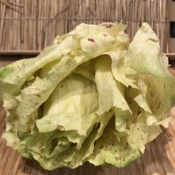 Castelfranco  1pc