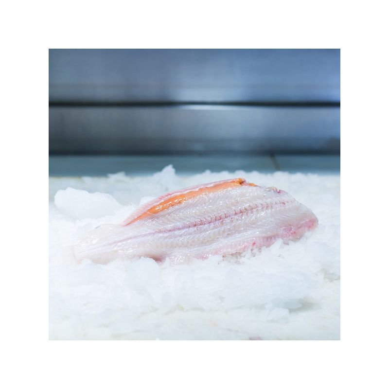 Sole 350 g Meunière, Coupé Court ou en Filets