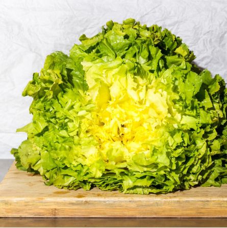 Salade Scarole bio 1pc Salade Scarole bio 1pc